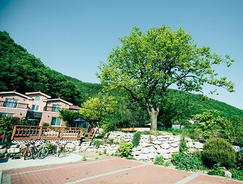 Utopia Pension 庆州 外观 照片